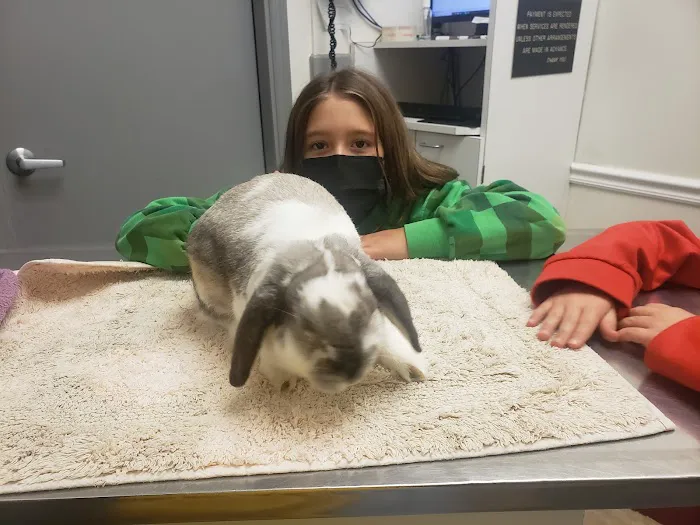 Seven Hills Pet Clinic 8