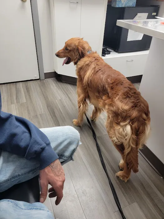 Seven Hills Pet Clinic 10