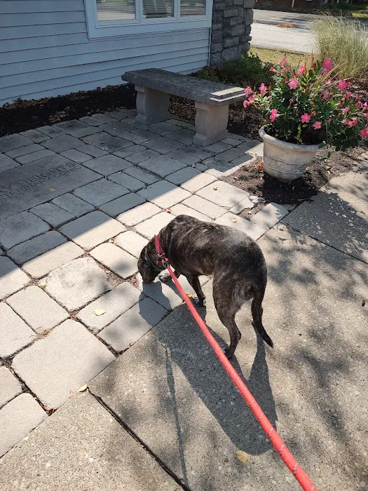Day Heights Veterinary Clinic 12