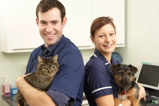Meadows Animal Hospital 3