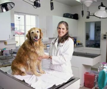 Meadows Animal Hospital