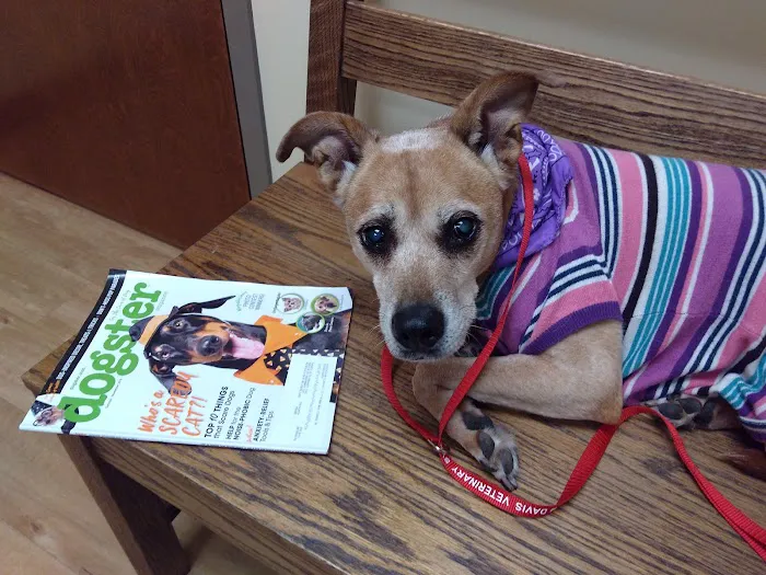 Davis Veterinary Service 12