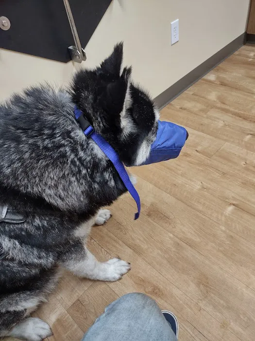 Davis Veterinary Service 12