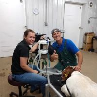 StockVets LLC ico