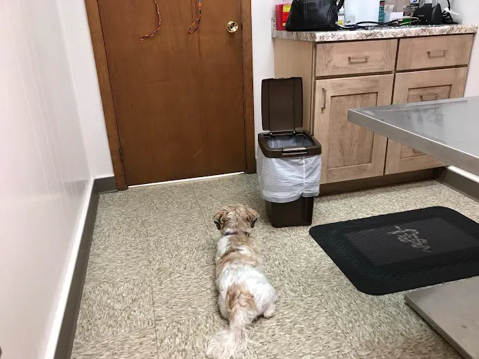 Beecher Veterinary Clinic 4