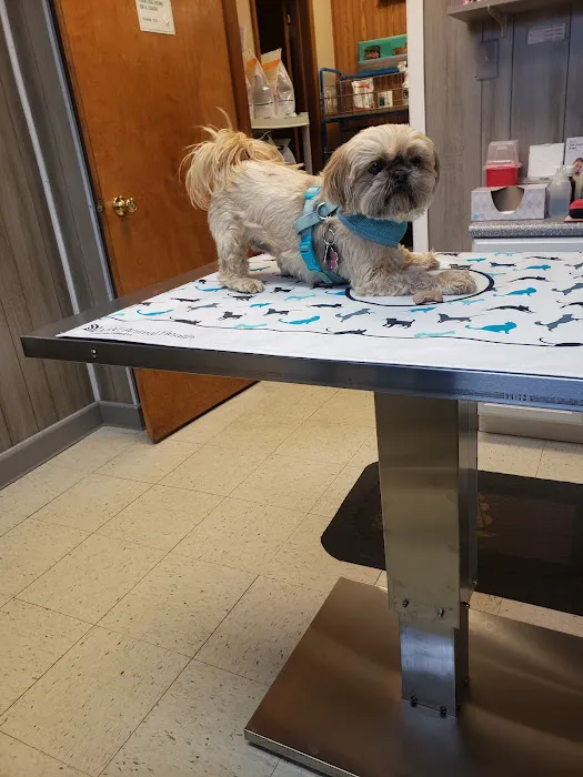 Beecher Veterinary Clinic 7