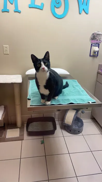 Peotone Animal Hospital 12