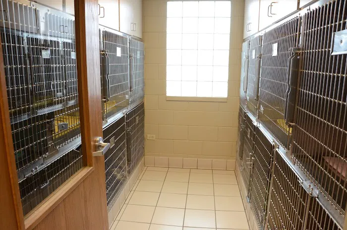 Peotone Animal Hospital 12