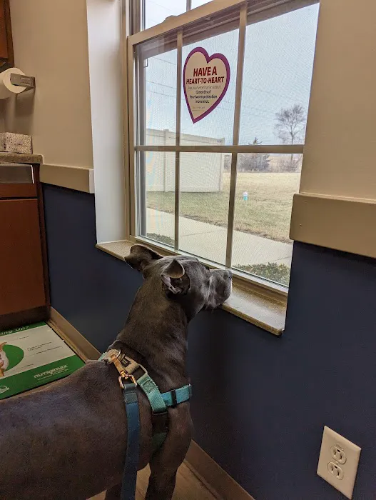 South Creek Animal Hospital 6