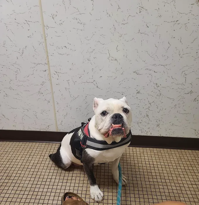 Bradley Animal Hospital 12