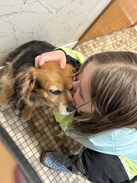 Bradley Animal Hospital 12