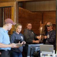 Premier Equine Veterinary Service, LLC ico