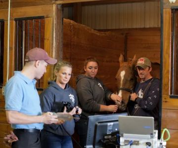 Premier Equine Veterinary Service, LLC