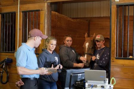 Premier Equine Veterinary Service, LLC