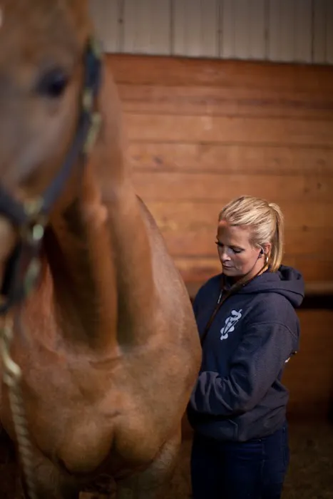 Premier Equine Veterinary Service, LLC 5