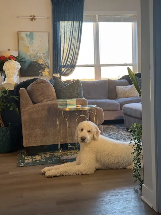 Sondel Family Veterinary Clinic 4
