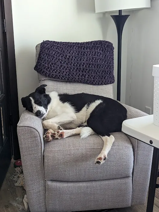 Sondel Family Veterinary Clinic 9