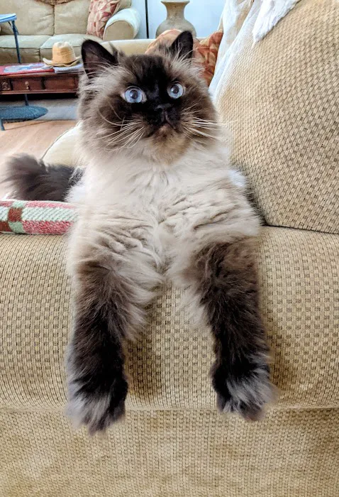 Paws & Claws Mobile Veterinary Service, LLC 3