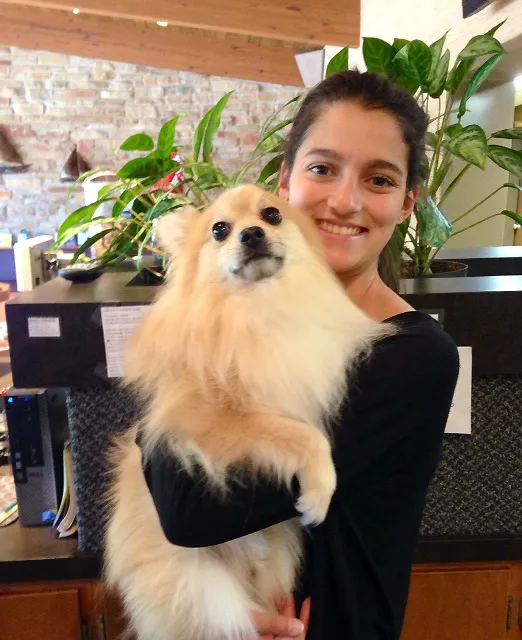 Spring Harbor Animal Hospital 12
