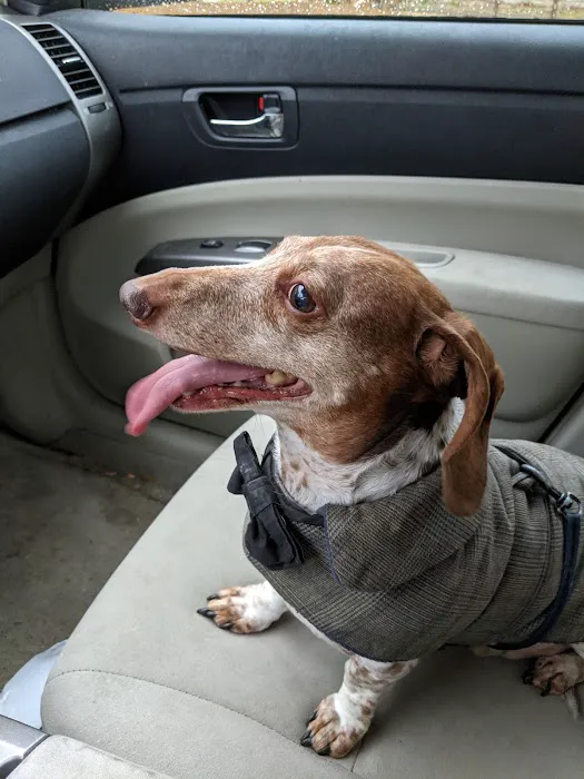 Spring Harbor Animal Hospital 12