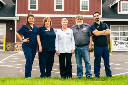 Checkout Veterinary