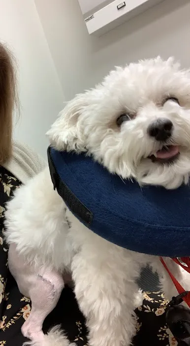 Animal Hospital of Sun Prairie 6