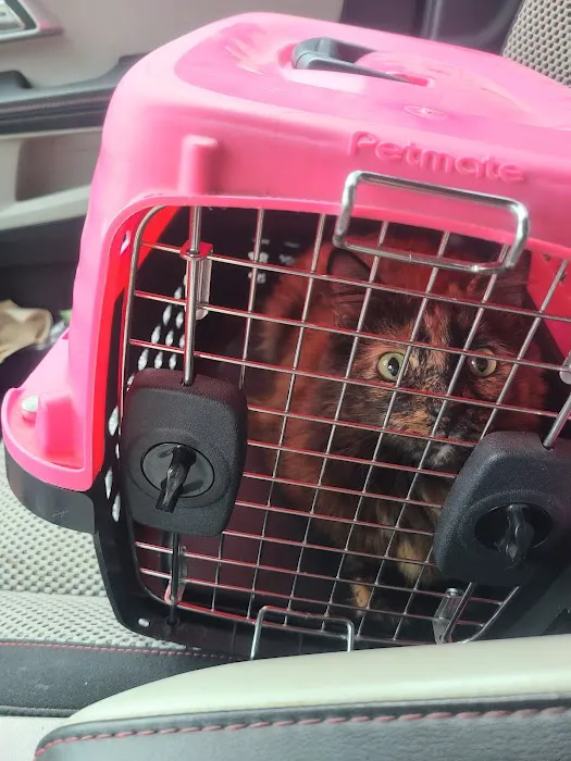 Animal Hospital of Sun Prairie 5