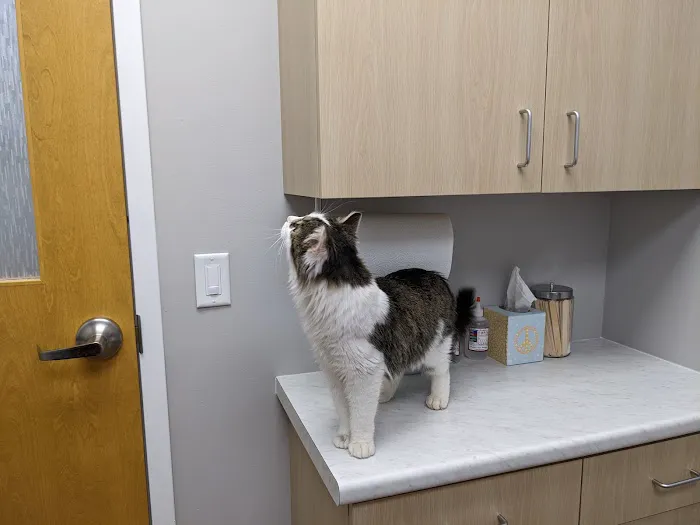 Faircrest Veterinary Care 12