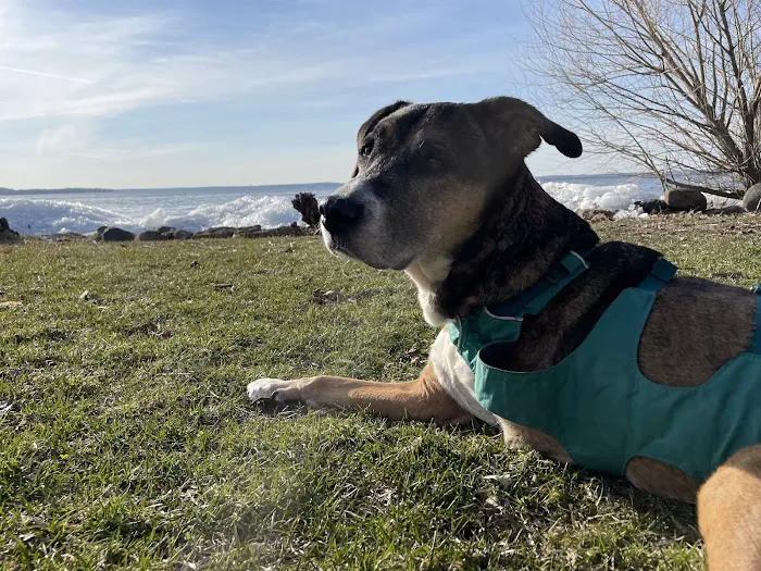 Faircrest Veterinary Care 12