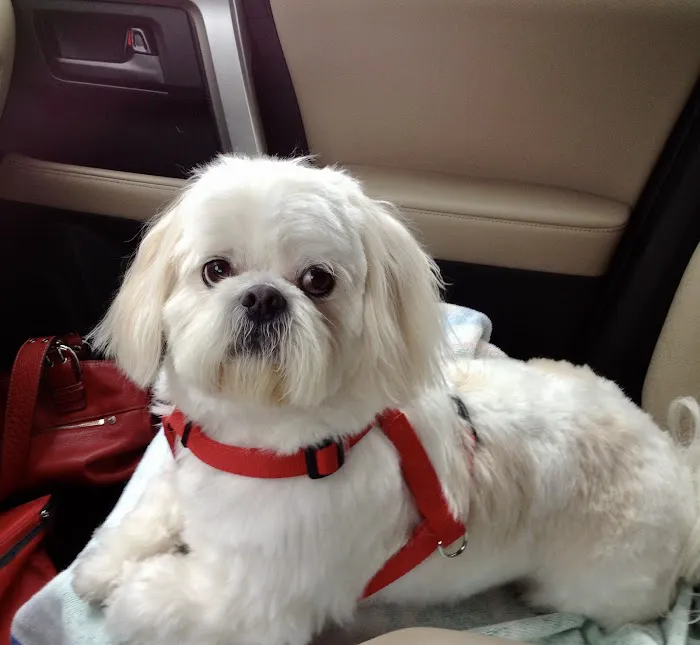 Avery Animal Hospital 12