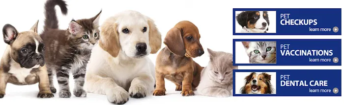 Avery Animal Hospital 12