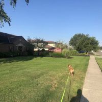 East Hilliard Veterinary Services: Klein Thomas DVM ico