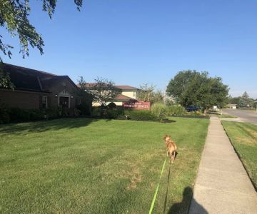 East Hilliard Veterinary Services: Klein Thomas DVM