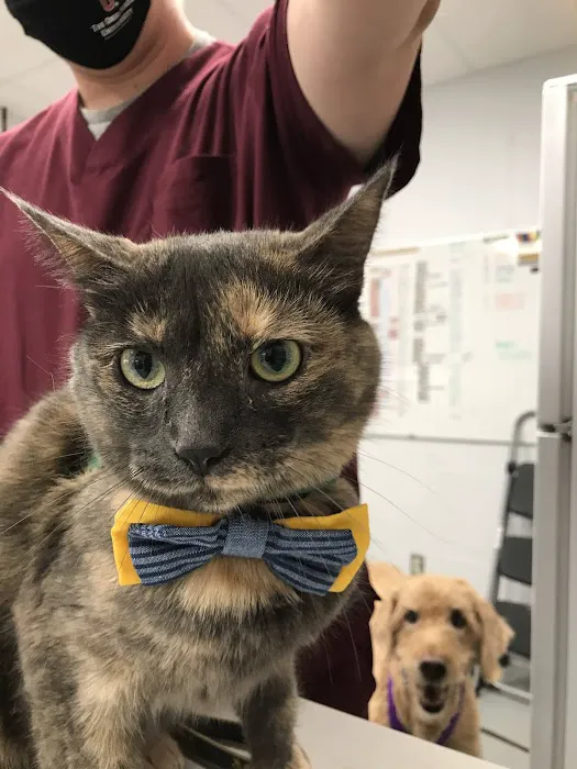 East Hilliard Veterinary Services: Klein Thomas DVM 12