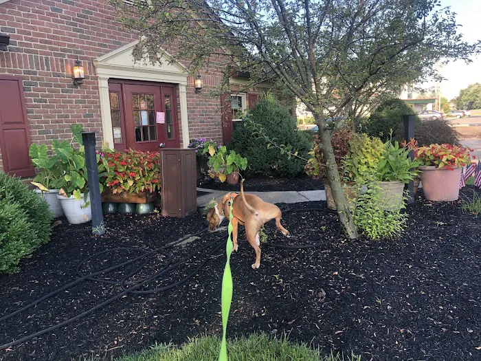 East Hilliard Veterinary Services: Klein Thomas DVM 12