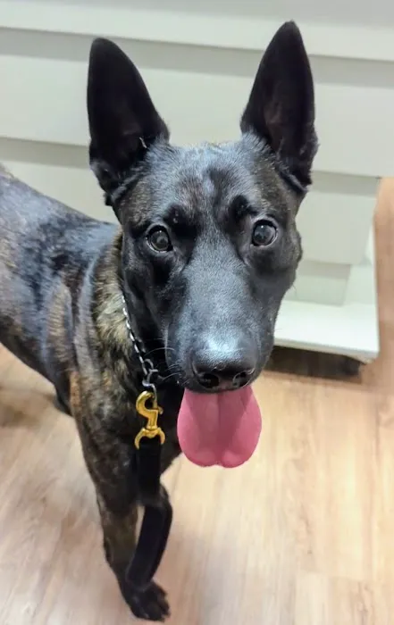 East Hilliard Veterinary Services: Klein Thomas DVM 12