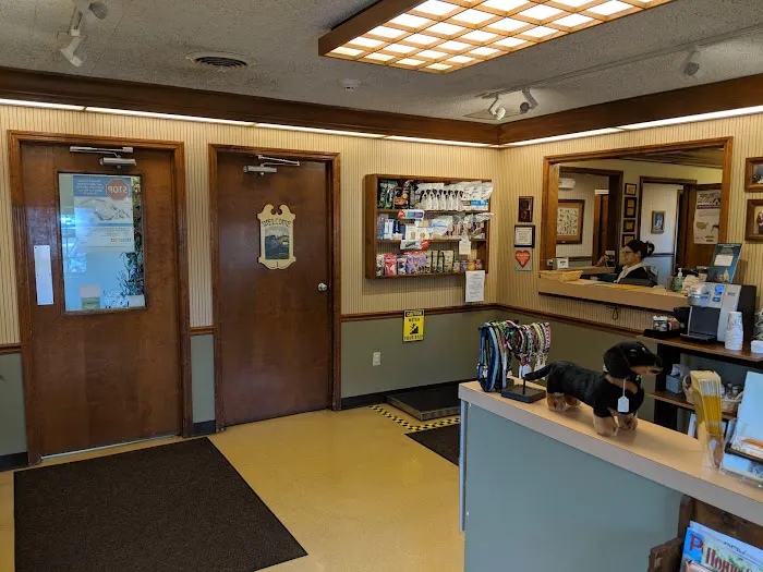 East Hilliard Veterinary Services 12