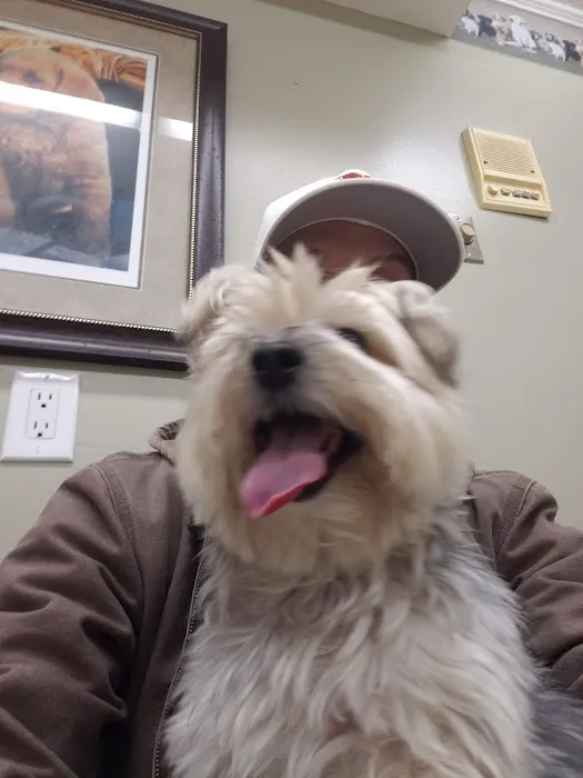 Northarlington Animal Clinic 5