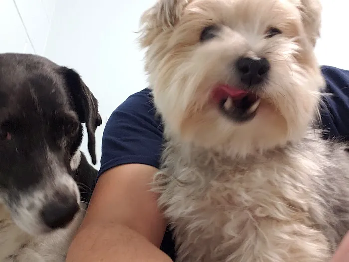 Northarlington Animal Clinic: See Heather L DVM 2