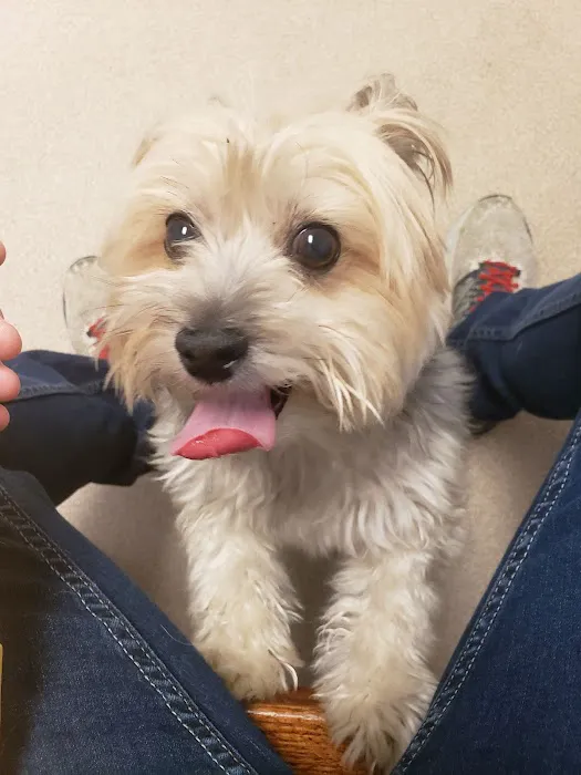 Northarlington Animal Clinic: See Heather L DVM 5
