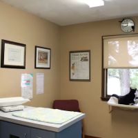 Northwest Animal Hospital ico