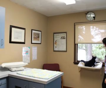 Northwest Animal Hospital