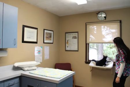 Northwest Animal Hospital