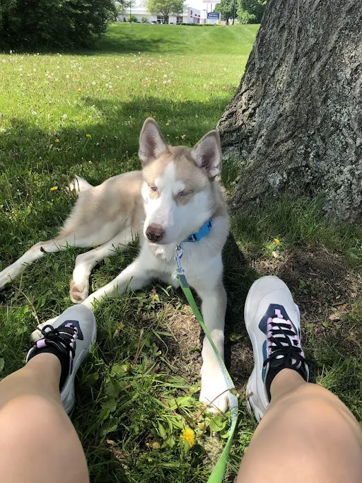 Northwest Animal Hospital 12