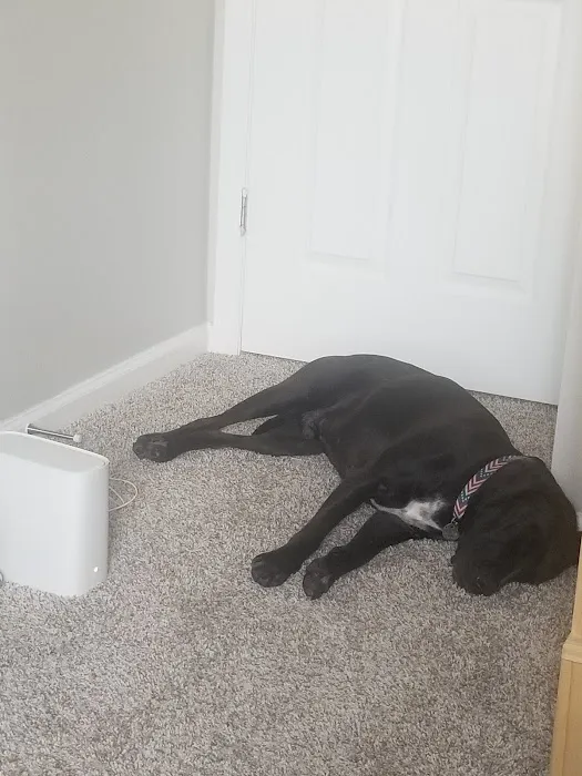 Northwest Animal Hospital 12