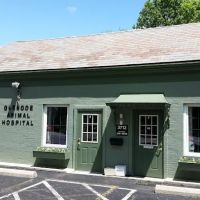 Glencoe Animal Hospital ico