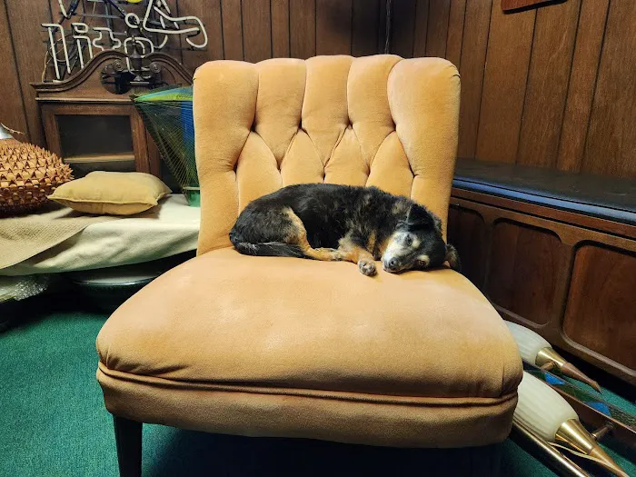Knapp Veterinary Hospital Inc 2