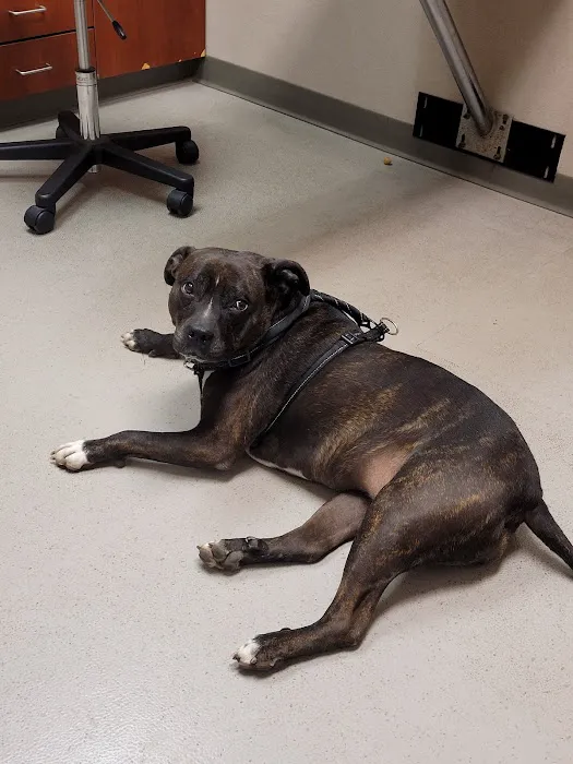 Knapp Veterinary Hospital Inc 9