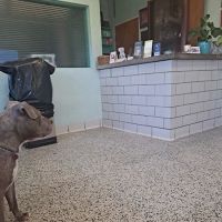 Oakland Park Animal Hospital, LLC ico