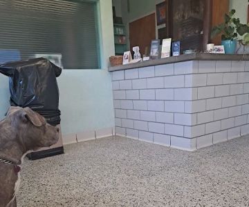 Oakland Park Animal Hospital, LLC